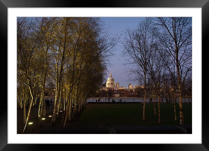 St Paul's with silver birches Framed Mounted Print by Gary Eason