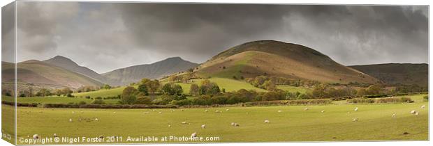 Beacons Spring Panorama Canvas Print by Creative Photography Wales