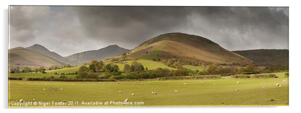 Beacons Spring Panorama Acrylic by Creative Photography Wales