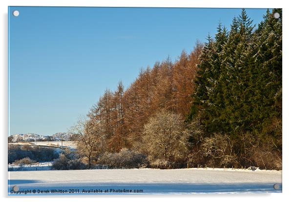 Winter Woodland Acrylic by Derek Whitton