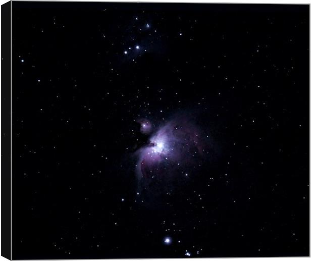 The Great Orion Nebula Canvas Print by Grant Glendinning