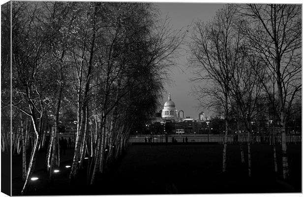 St Paul's with silver birches Canvas Print by Gary Eason