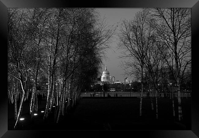 St Paul's with silver birches Framed Print by Gary Eason