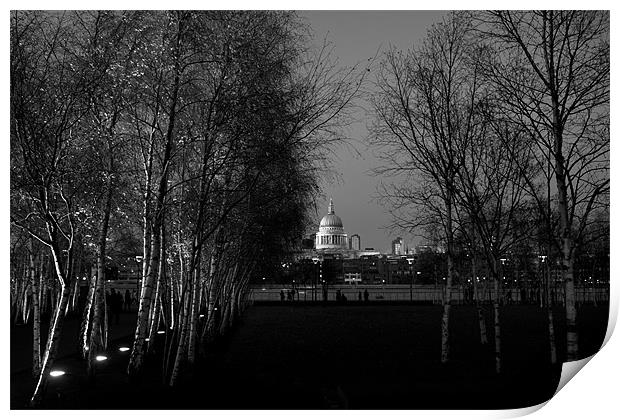 St Paul's with silver birches Print by Gary Eason
