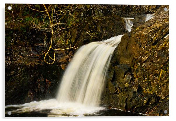 Waterfall Glen Arkaig Acrylic by Jacqi Elmslie