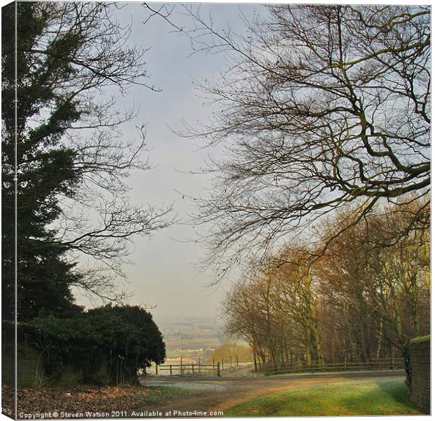 Church Lane, Harewood Canvas Print by Steven Watson