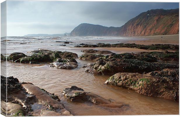 Looking West from Sidmouth Canvas Print by Phil Wareham