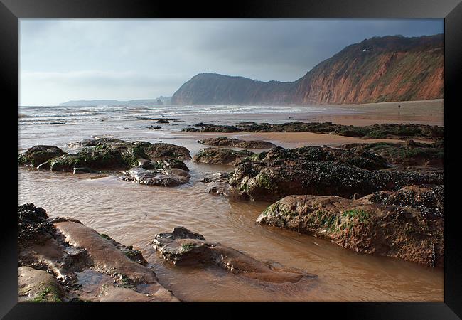 Looking West from Sidmouth Framed Print by Phil Wareham