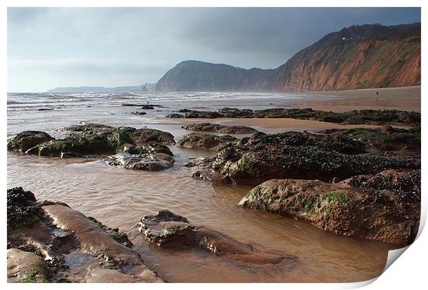 Looking West from Sidmouth Print by Phil Wareham
