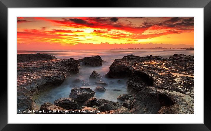 Coolongatta Gold Framed Mounted Print by Mark Lucey
