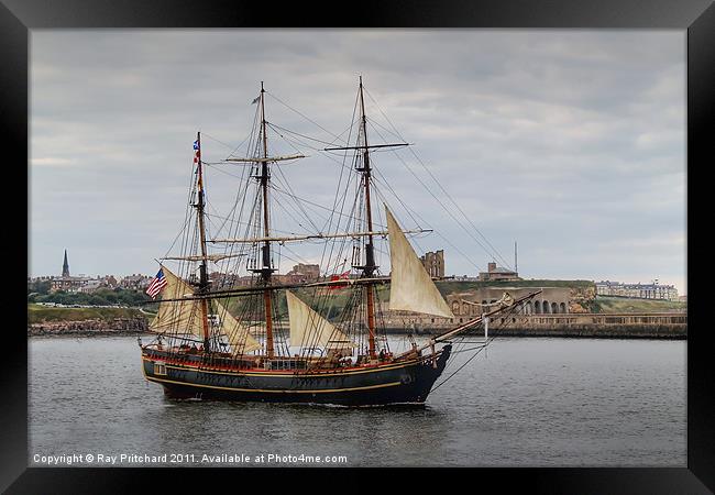 The Bounty Framed Print by Ray Pritchard