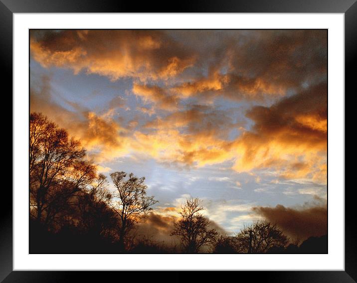 Winter Sky Framed Mounted Print by danielle free