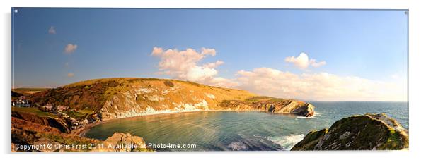 Lulworth Cove Panorama Acrylic by Chris Frost