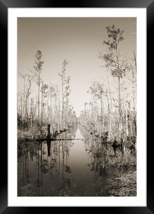 Wet Trail Framed Mounted Print by Candice Smith