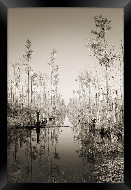 Wet Trail Framed Print by Candice Smith