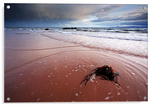 Seamill beach Acrylic by Grant Glendinning