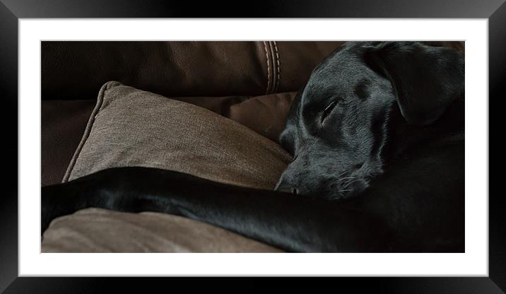 Dog Tired II Framed Mounted Print by Simon Wrigglesworth