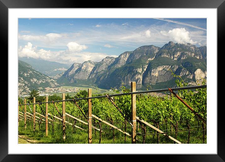 The Vineyards of Trentino Framed Mounted Print by Michelle Stranges