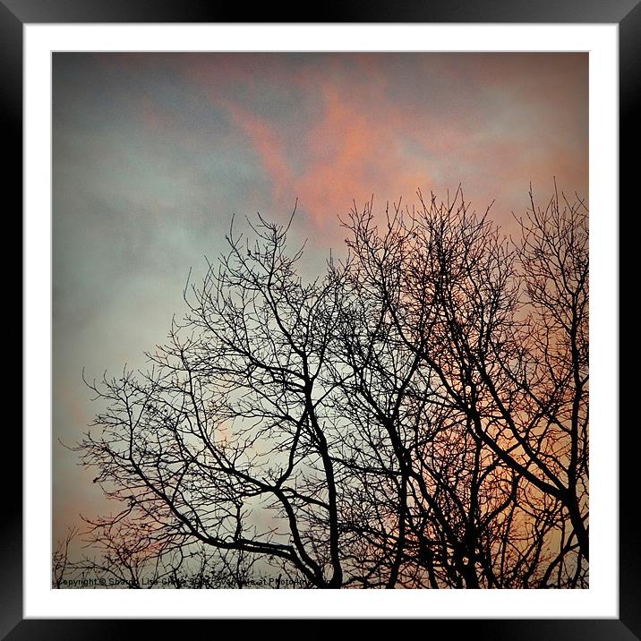 Silhouettes and sunsets Framed Mounted Print by Sharon Lisa Clarke