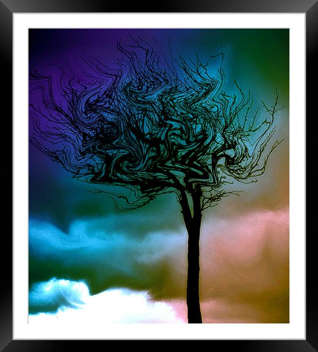 Surreal Tree Framed Mounted Print by karen shivas