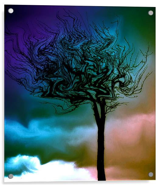 Surreal Tree Acrylic by karen shivas