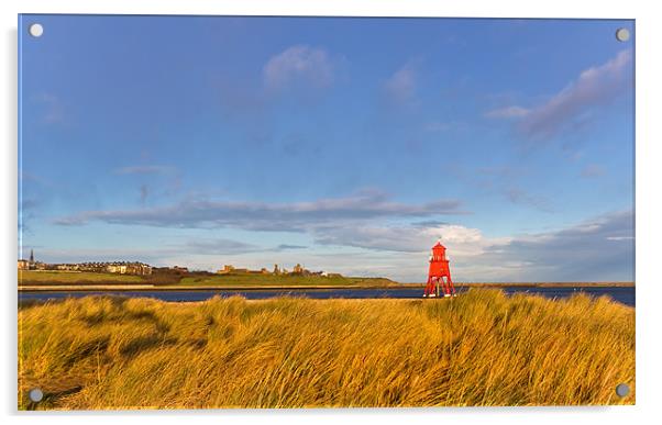 Herd Groyne Lighthouse Acrylic by Kevin Tate