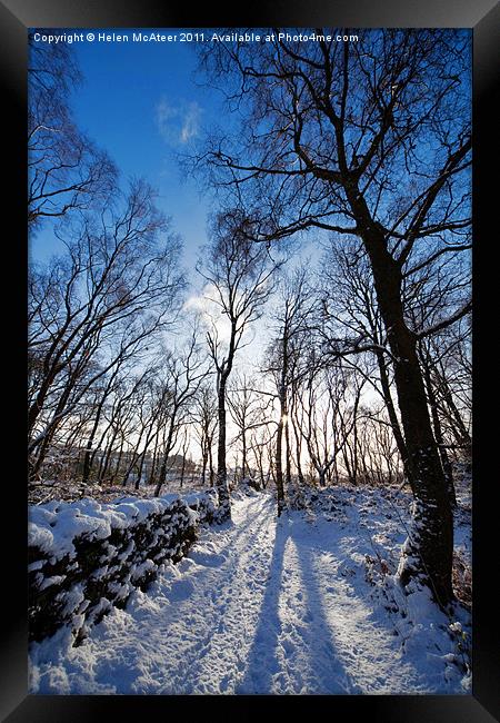Woodland Path in Winter Framed Print by Helen McAteer