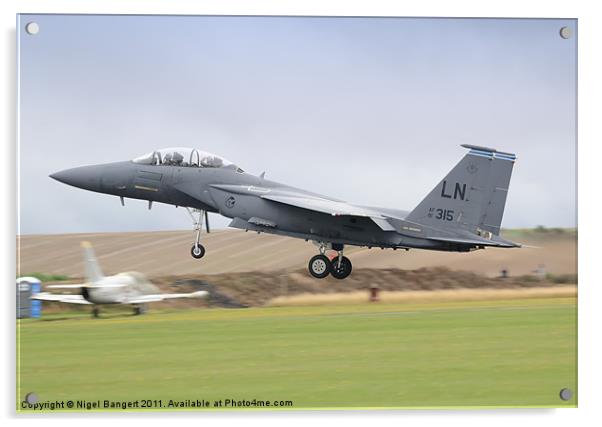 USAF F-15E Strike Eagle Acrylic by Nigel Bangert