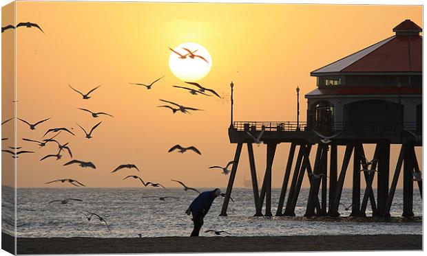 Sunset Over Seagulls Canvas Print by Sharon Pfeiffer