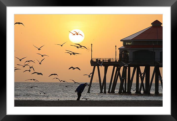 Sunset Over Seagulls Framed Mounted Print by Sharon Pfeiffer