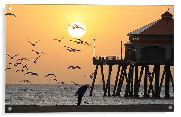 Sunset Over Seagulls Acrylic by Sharon Pfeiffer