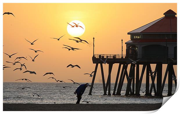 Sunset Over Seagulls Print by Sharon Pfeiffer