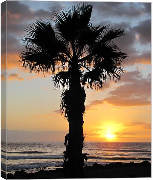 Sunset  in Tenerife Canvas Print by barbara walsh
