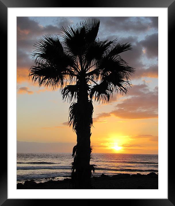 Sunset  in Tenerife Framed Mounted Print by barbara walsh