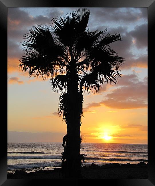 Sunset  in Tenerife Framed Print by barbara walsh