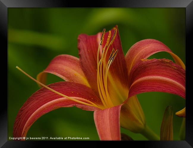 there is always one Framed Print by Jo Beerens