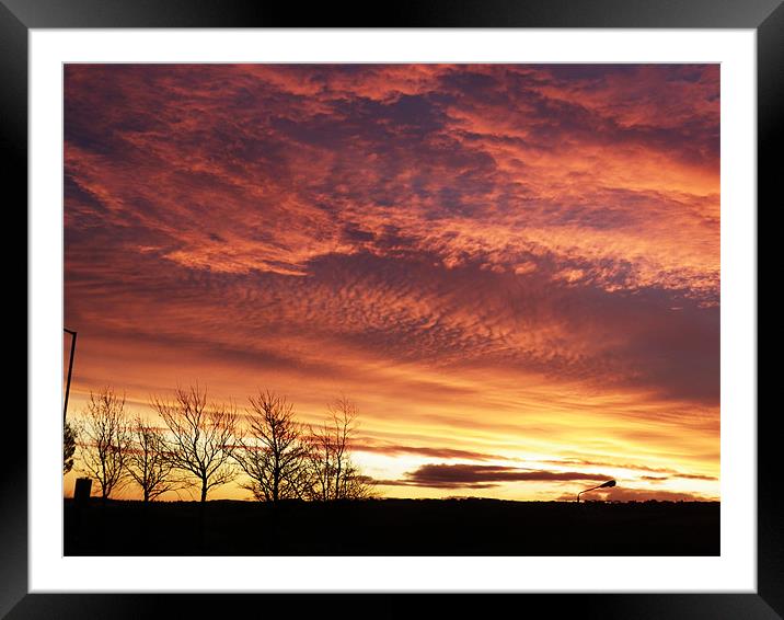 Sunrise over Falkirk Framed Mounted Print by Dawn Gillies
