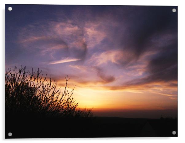 Sunset Swirls Acrylic by Dawn Gillies