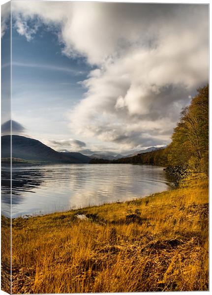 Autumn by Loch Arkaig Canvas Print by Jacqi Elmslie