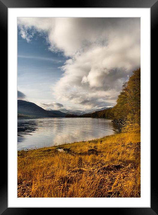 Autumn by Loch Arkaig Framed Mounted Print by Jacqi Elmslie