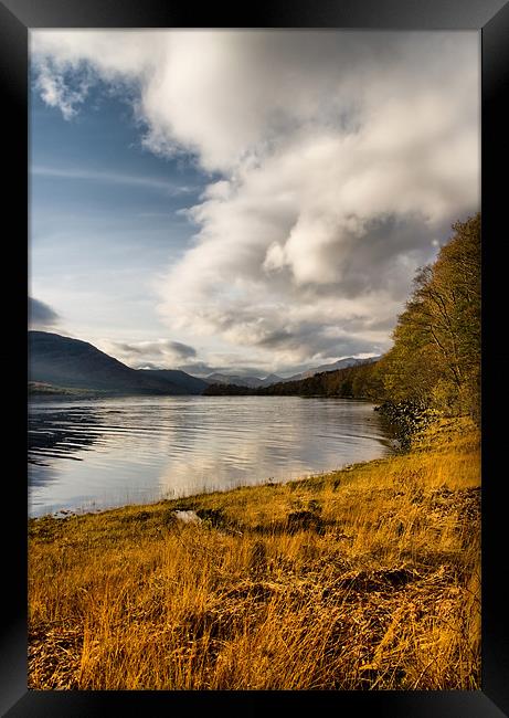 Autumn by Loch Arkaig Framed Print by Jacqi Elmslie