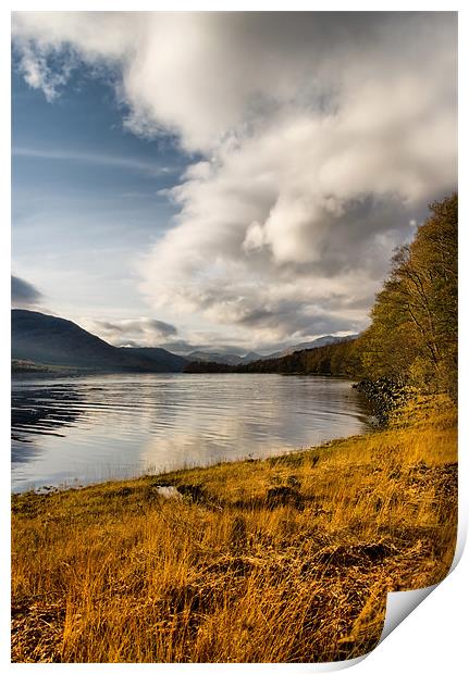 Autumn by Loch Arkaig Print by Jacqi Elmslie