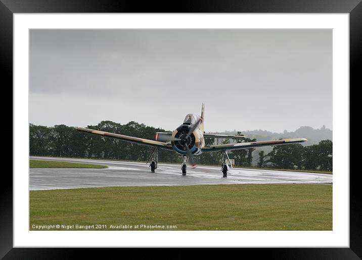 Fennec Taxiing Framed Mounted Print by Nigel Bangert