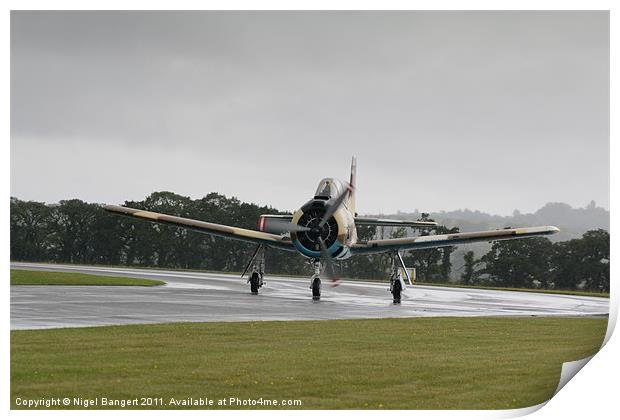 Fennec Taxiing Print by Nigel Bangert