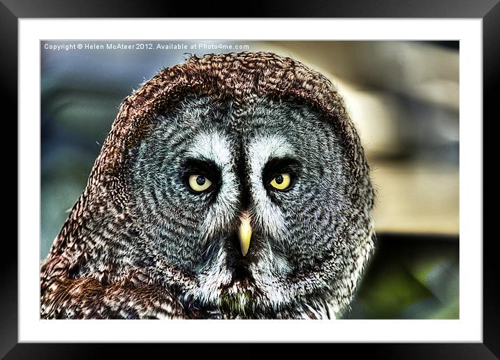 Great Grey Owl Framed Mounted Print by Helen McAteer