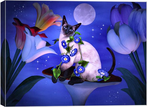 Siamese Moonlight Canvas Print by Elaine Manley