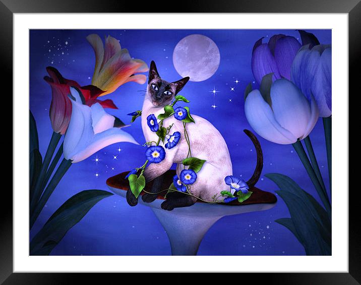 Siamese Moonlight Framed Mounted Print by Elaine Manley