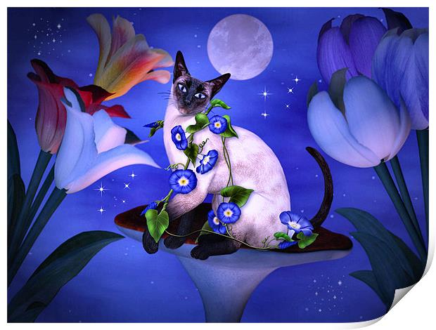 Siamese Moonlight Print by Elaine Manley