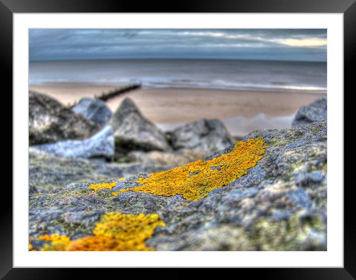 Mossy Rock Framed Mounted Print by Nick Coleby