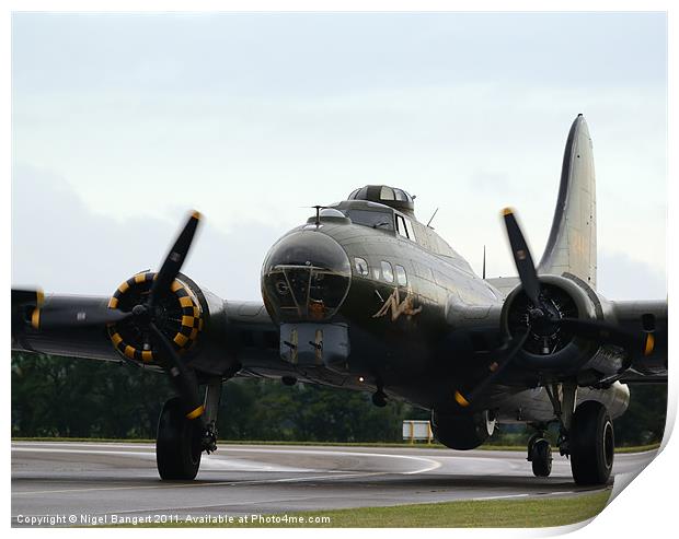 Sally B Print by Nigel Bangert